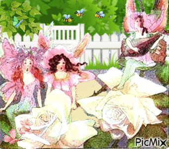 les belles roses blanches - Zdarma animovaný GIF
