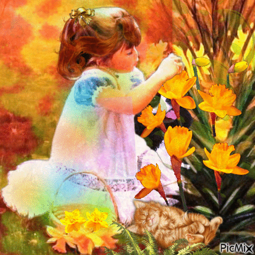 daffodil - Ingyenes animált GIF