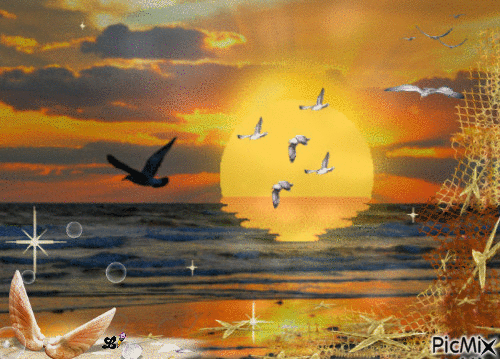 coucher de soleil plage - GIF animé gratuit