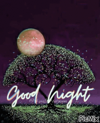 gn goodnight    goede nacht - Zdarma animovaný GIF