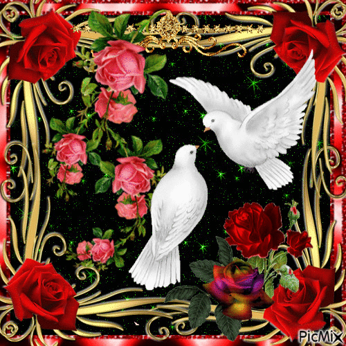 roses et colombes - Gratis animeret GIF