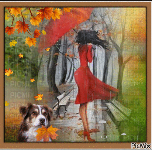 Autumn umbrella. Concorso - Gratis animerad GIF