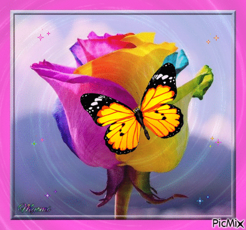 rose multicolore et papillon - 無料のアニメーション GIF