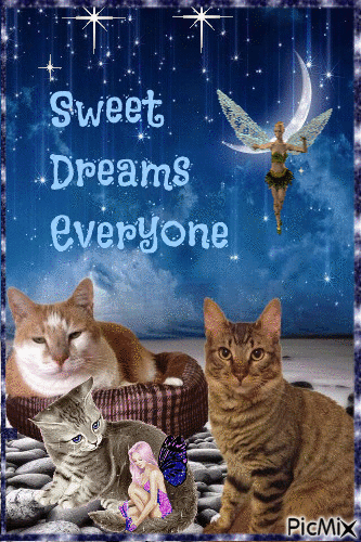 sweet dreams - Besplatni animirani GIF