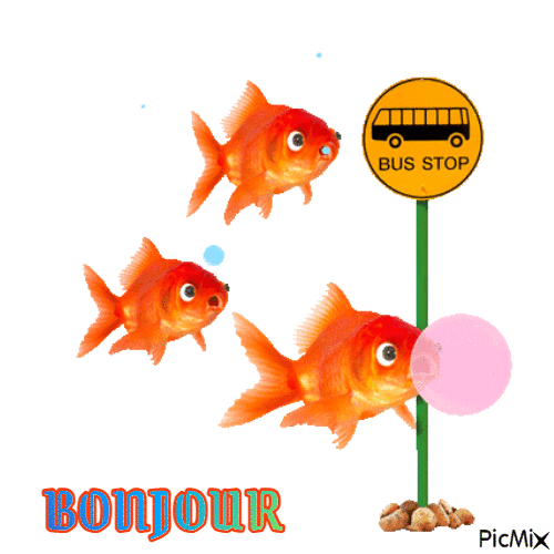bonjour - Nemokamas animacinis gif