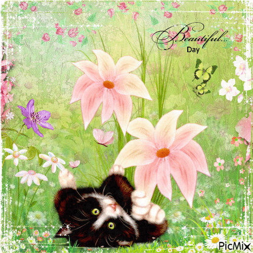 Cat With Flowers - GIF animé gratuit