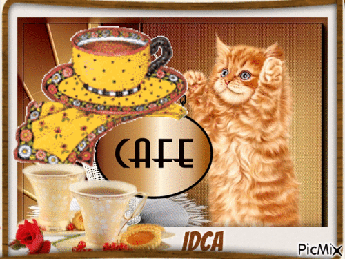 Café  du  chat - GIF animé gratuit