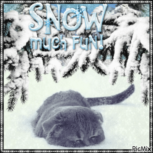 Kitten in the snow - Bezmaksas animēts GIF