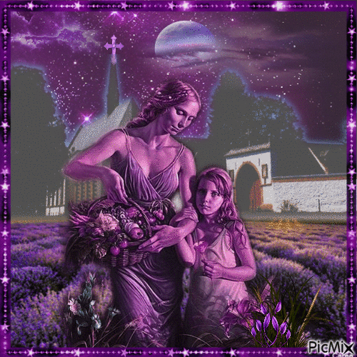 Sternenabend in Lavendel - Gratis geanimeerde GIF