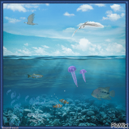 Unterwasser - Ilmainen animoitu GIF