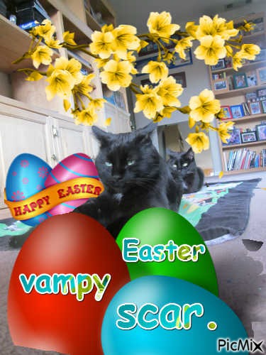 Easter kitty;s - gratis png