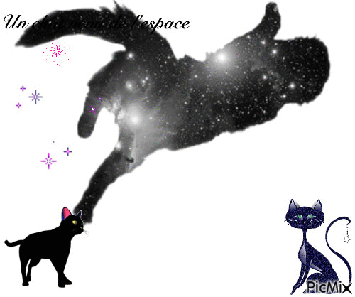 un chat venu de l'espace - Безплатен анимиран GIF