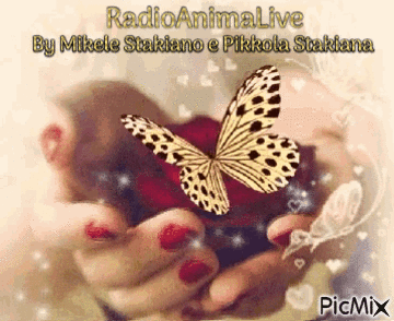 Radio Anima Live - GIF animé gratuit