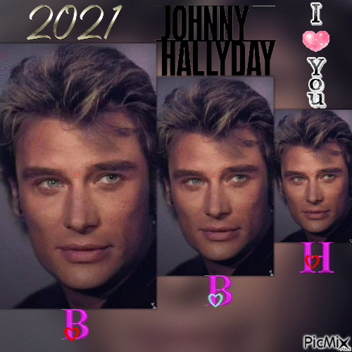Johnny Hallyday - Gratis animeret GIF