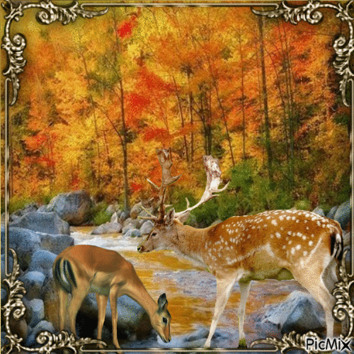 Herbst, automne, autumn - Бесплатный анимированный гифка