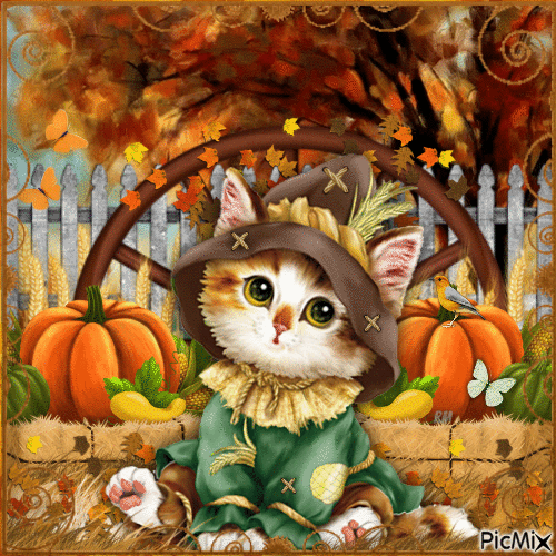 Scarecrow Kitty - GIF animado gratis