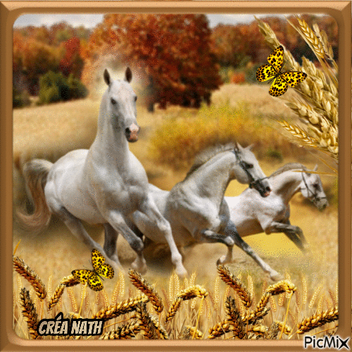 Les chevaux dans la nature, concours - Δωρεάν κινούμενο GIF