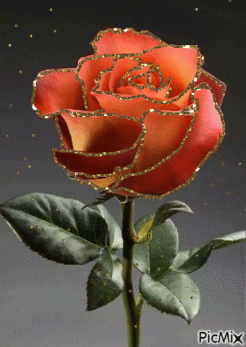 roses - GIF animado gratis
