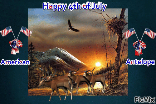 4TH OF JULY - Безплатен анимиран GIF