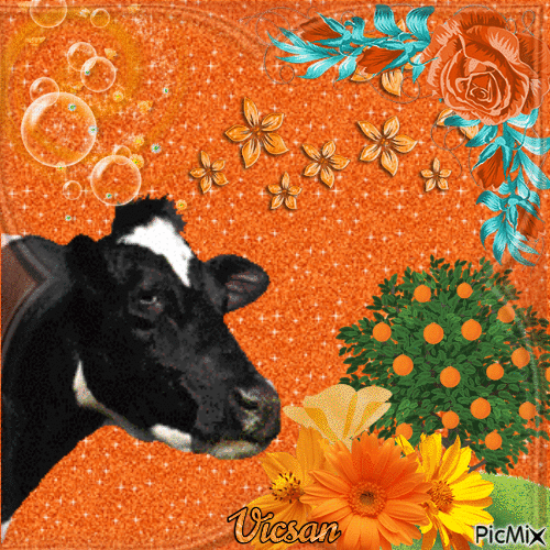 Vaca y flores de naranja - Ilmainen animoitu GIF