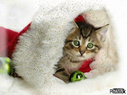 Glitter kitten - Ilmainen animoitu GIF