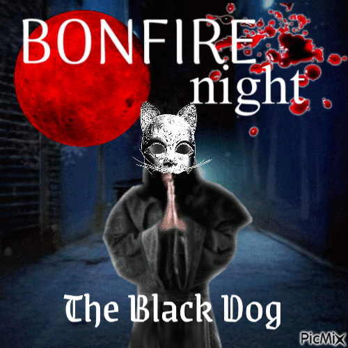 Bongfire Night - GIF animé gratuit