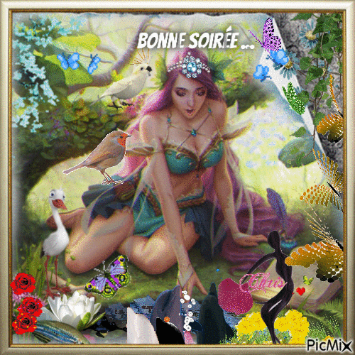 BONNE SOIREE .. - 無料のアニメーション GIF
