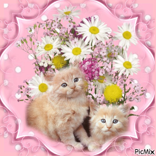 kittens and flowers - ingyenes png