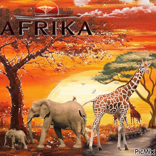 africa. - Zdarma animovaný GIF