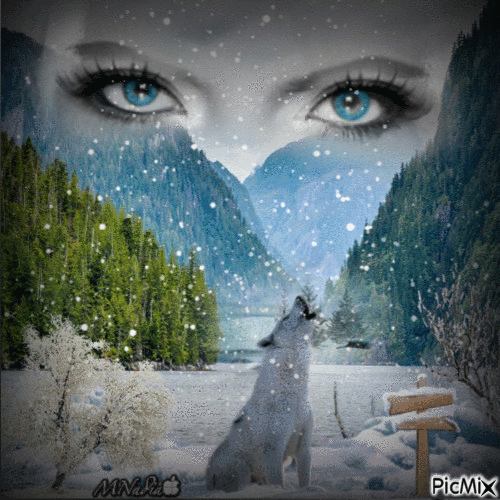 loup solitaire sous la neige - Gratis animerad GIF