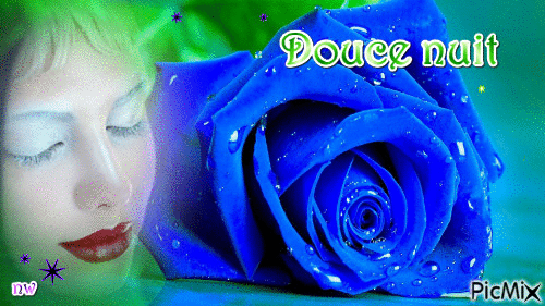 Rose bleue - Animovaný GIF zadarmo