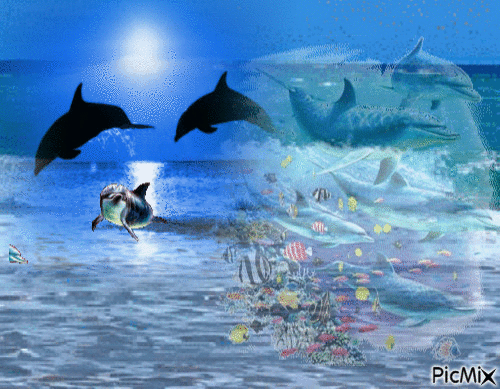delphin - Zdarma animovaný GIF