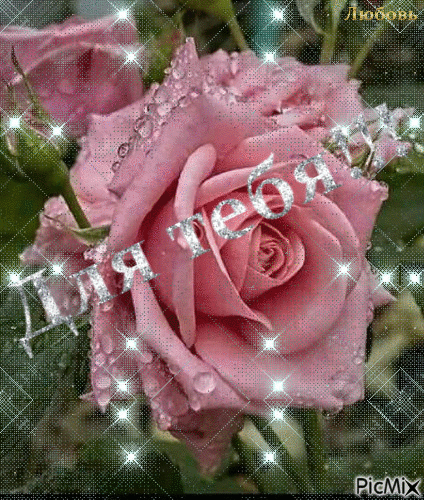 розы - Безплатен анимиран GIF