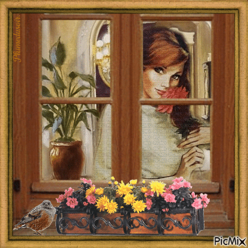 Une fille à sa fenêtre. - Free animated GIF