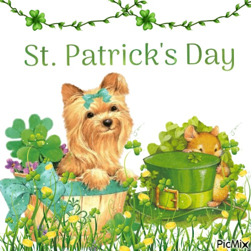 st patricks day contest - 無料png