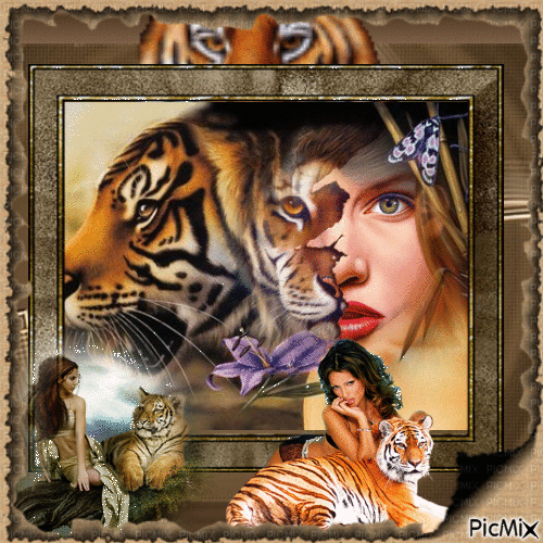 portrait tigre et femme - Бесплатный анимированный гифка