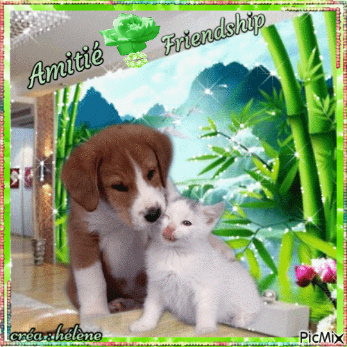 Amitié _ Friendship ♦