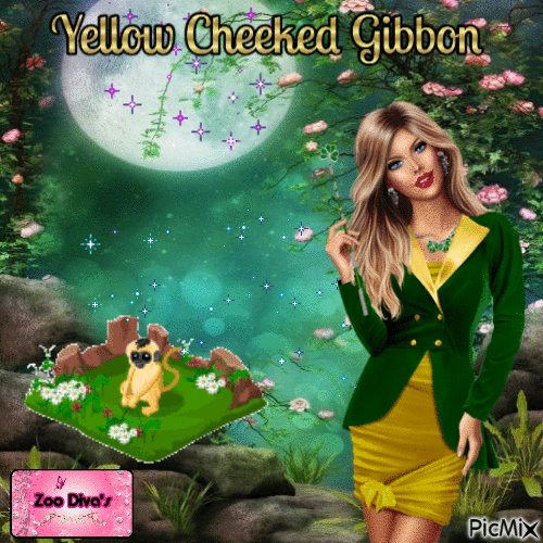 Yellow Cheeked Gibbon - Bezmaksas animēts GIF