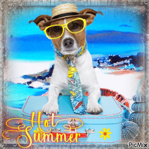Hot Summer - GIF animasi gratis
