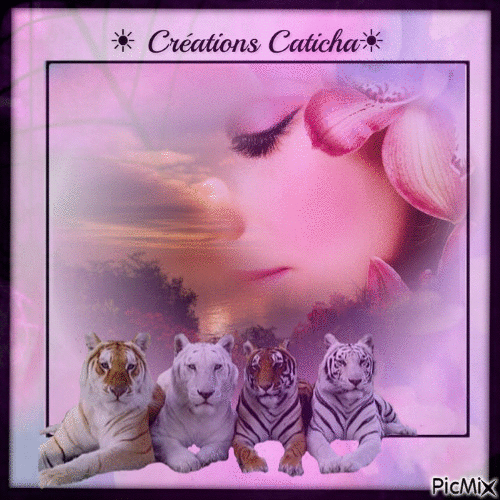☀ Création -caticha ☀ - Besplatni animirani GIF