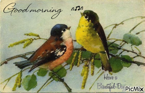 Good Morning, birds - Nemokamas animacinis gif