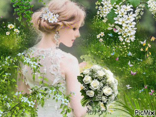 невеста. - Free animated GIF