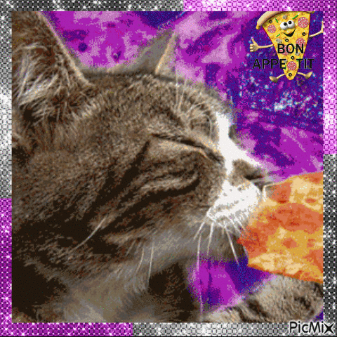 Ce Chat adore la Pizza - GIF animado grátis