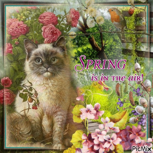 Spring is in the air! - бесплатно png