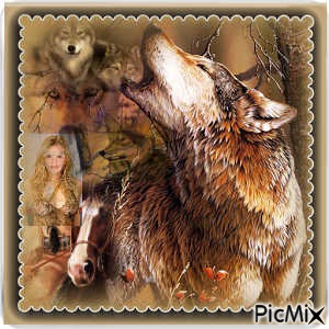 Wolves - ingyenes png