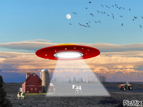 cow abduction - GIF animé gratuit