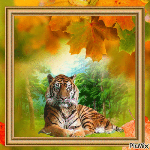 Tiger - 無料のアニメーション GIF