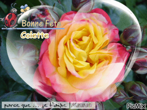 Colette - Bezmaksas animēts GIF