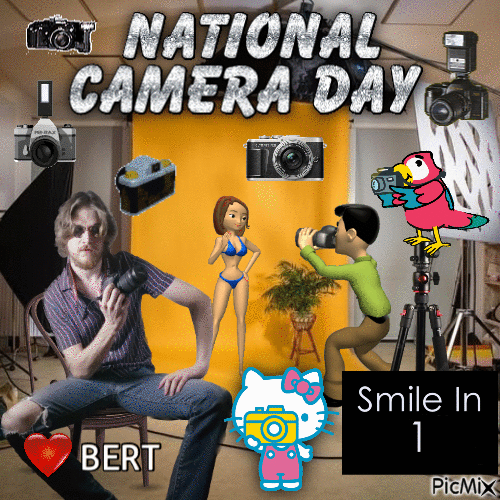 national camera day bert - Free animated GIF