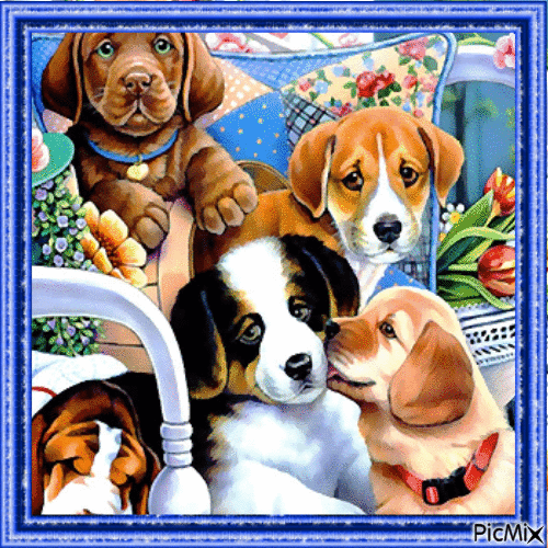 CHIENS - Free animated GIF